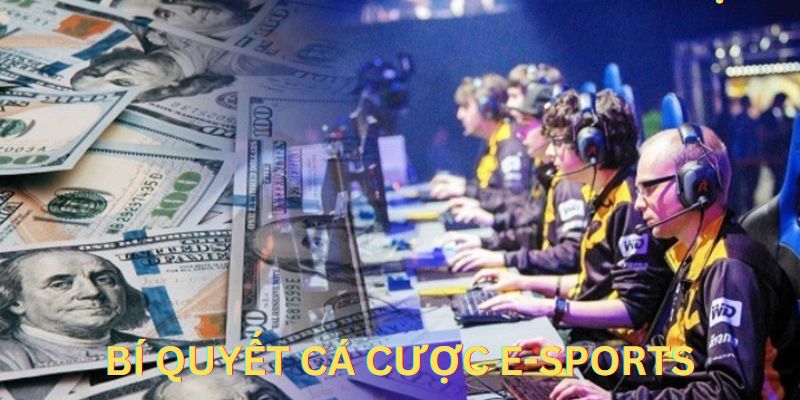 Phân tích dữ liệu thi đấu từng đội tuyển là bí quyết cá cược Esports dễ thắng